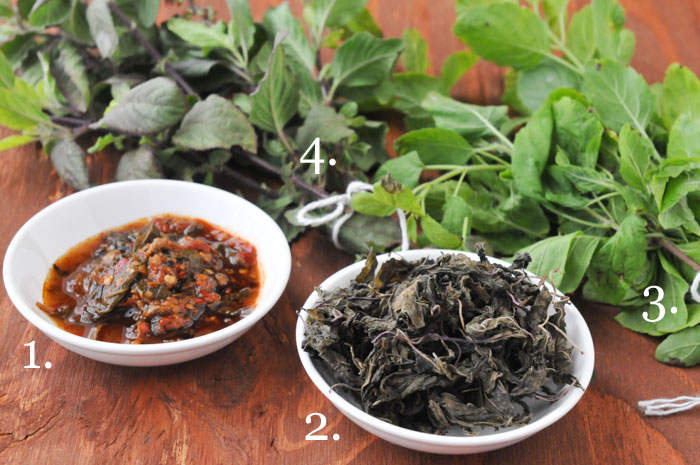 Thai Test Kitchen: Which holy basil is best in pad gaprow?